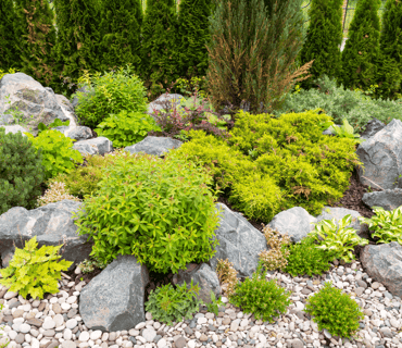 5 Steps to a Healthier Lawn Rock Garden image