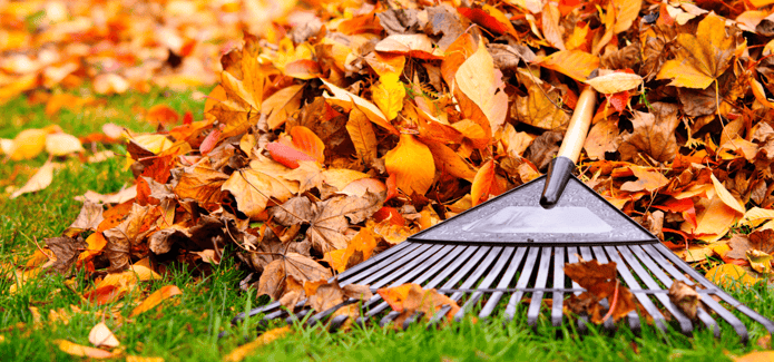 your-guide-easy-fall-home-maintenance-raking-leaves.png