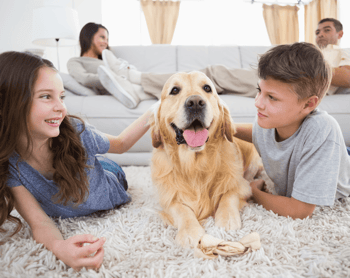 9 Tips For Choosing An Awesome Area Rug kids image