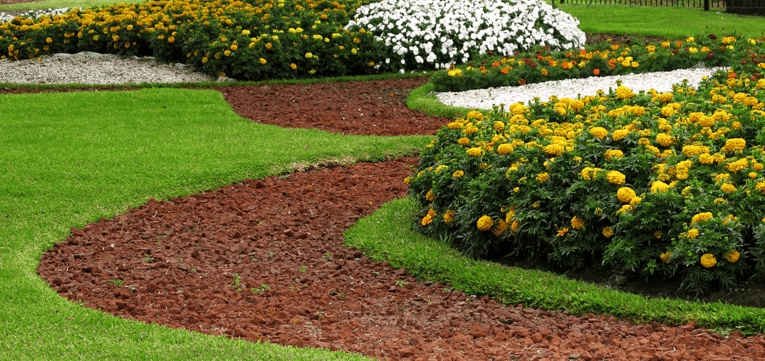 steps-healthier-lawn-featured-image.png