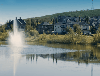 Community Spotlight Crestmont Pond Image