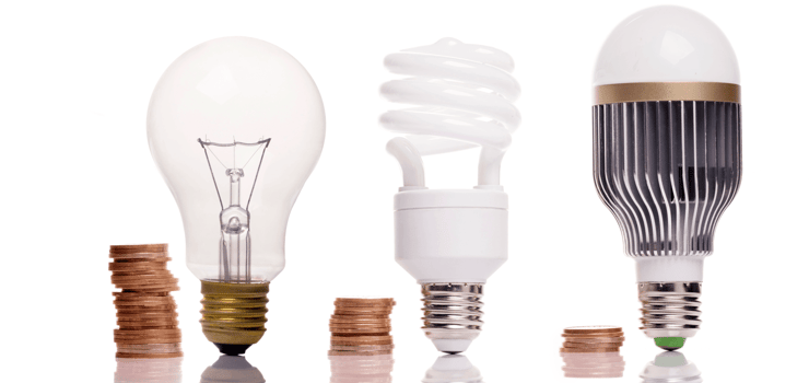 Components of An Eco-Friendly Home Bulbs Featured Image