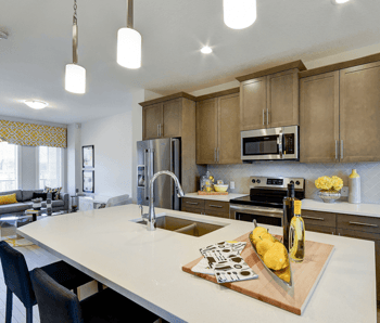 New Build or Quick Possession Home: Which is Right For You? Kitchen Image
