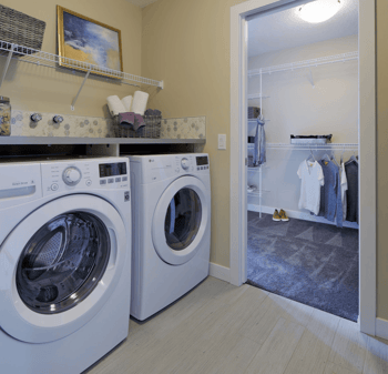 5 Essential Features You Need in Your First Home Laundry Image